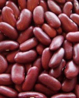 Rajma / Kidney Beans (SS)