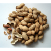 Raw-Peanuts-Groundnuts-Pacha-Nila-Kadalai-Produx-500x500